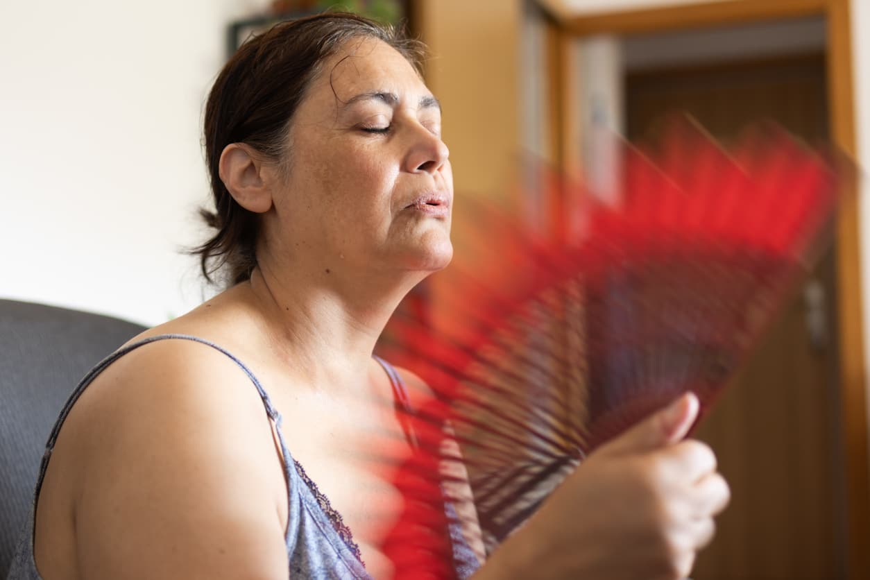 Woman Fanning Herself - Blog Article Why My AC Can't Keep Up